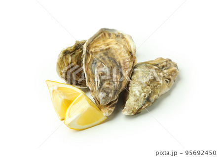 Concept of delicious seafood, oysters isolated on white background 95692450