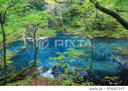 十二湖　 沸壺の池 【青森県深浦町・津軽国定公園】 95692547