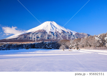 降雪の山中湖花の都公園から望む富士山の絶景　山梨県山中湖村 95692551