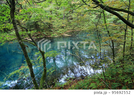 十二湖　 沸壺の池 【青森県深浦町・津軽国定公園】 95692552