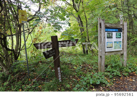 十二湖　 沸壺の池へ【青森県深浦町・津軽国定公園】 95692561