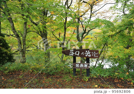 十二湖　 落口の池 【青森県深浦町・津軽国定公園】 95692806