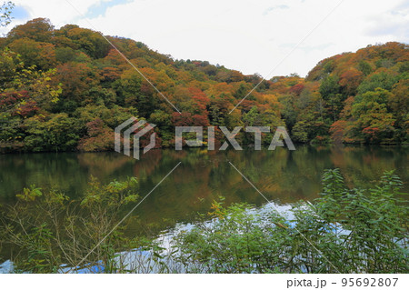十二湖　 落口の池 【青森県深浦町・津軽国定公園】 95692807