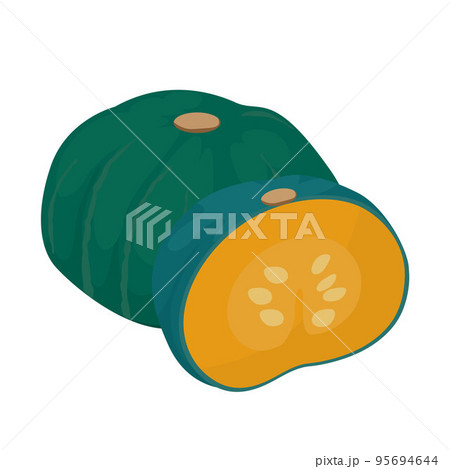 南瓜のベクターイラスト。 95694644