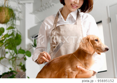 犬をブラッシングするトリマーの女性 95695152