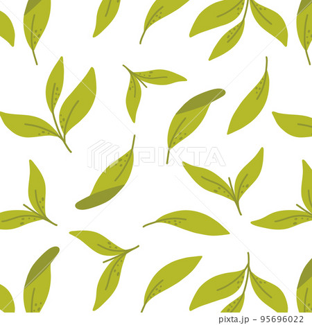 Seamless pattern with green tea leaves. Vector illustration. Pattern with matcha green tea. Seamless pattern with green tea leaves. Vector illustration. Pattern with matcha green tea. 95696022