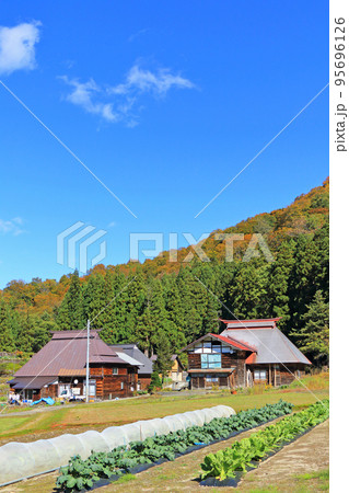 秘境秋山郷　見倉集落の秋 95696126