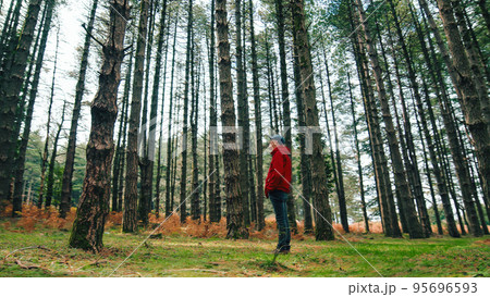 Man watching around into the tall tree of the forest in Autumn season 95696593