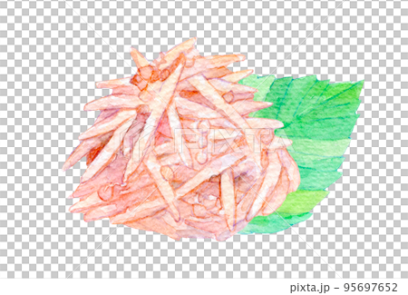 水彩插圖梅花水晶 水彩插圖梅花水晶 95697652