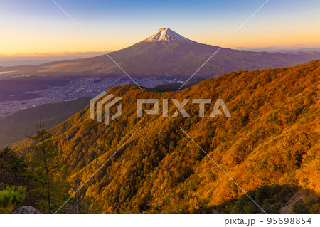 紅葉と富士山 95698854