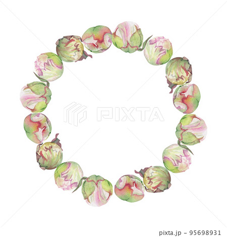 Watercolor circle frame arrangement with hand drawn delicate pink peony flowers, buds and leaves. Isolated on white background. For invitations, wedding, love or greeting cards, paper, print, textile 95698931