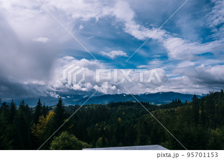 Coniferous Forest and Mountains Landscape Travel serene scenery 95701153