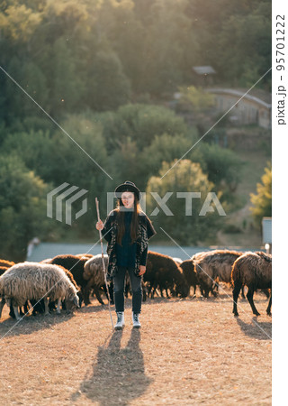 Female shepherd and flock of sheep at a lawn 95701222
