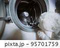 Cute little white dog looking in to washing machine. 95701759
