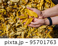 Female hand in autumn park enjoying autumn and holding a leaf. 95701763