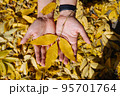 Female hand in autumn park enjoying autumn and holding a leaf. 95701764