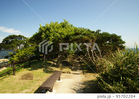 燈明堂海岸からの風景 95702204