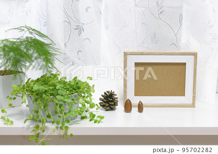 窓際で育てる観葉植物と写真立て 95702282