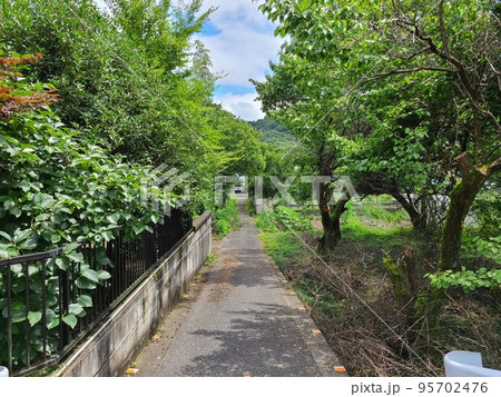 田舎の散歩道 田舎の散歩道 95702476