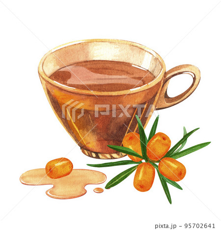 Glass transparent cup filled with sea buckthorn tea. Hand drawn watercolor on a white background. Forest buckthorn perfect for invitation, greeting cards and other design 95702641
