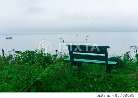 lonely bench among the burdocks on a high seashore at dusk lonely bench among the burdocks on a high seashore at dusk 95703039