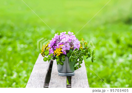 Beautiful bouquet of wildflowers on wooden bench on summer nature background in countryside 95703405
