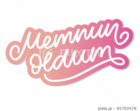 Text in the Turkish: nice to meet you. Letter in beautiful style. Vector illustration design. Banner, poster, greeting card. Business, icon set. Black board. Notepad sticky sticker. 95703476