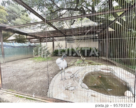 動物園にある檻 動物園にある檻 95703527