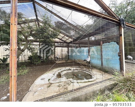 動物園にある檻 95703533