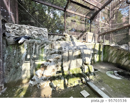 動物園にある檻 動物園にある檻 95703536
