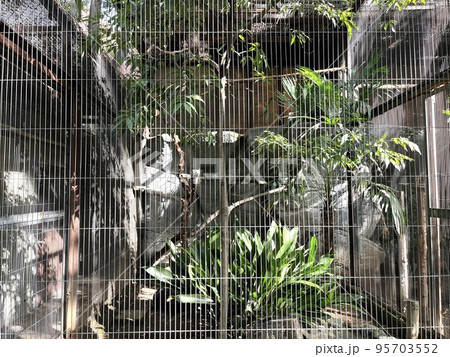 動物園にある檻 動物園にある檻 95703552