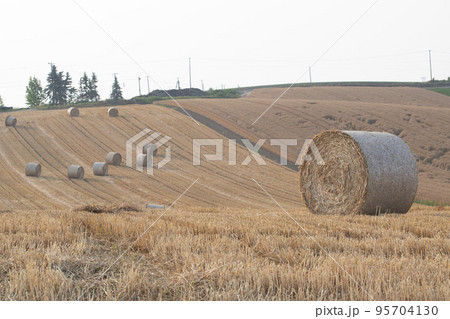 魅力の詰まった北海道の自然豊かな風景 95704130