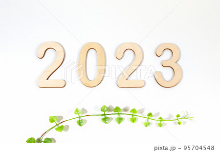 Text 2023 from wooden numbers on a white background with live leaves of a plant, with shadows. Postcard or calendar. Numeric symbol of the new year. 95704548