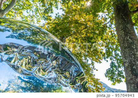 Chrome sphere reflecting trees and blue sky. 95704943