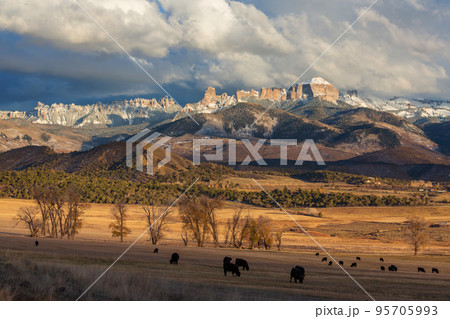 Late autumn in Colorado Late autumn in Colorado 95705993