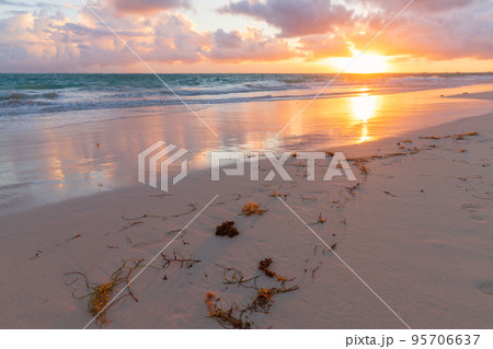 Empty beach on a sunrise, landscape of Dominican Republic 95706637