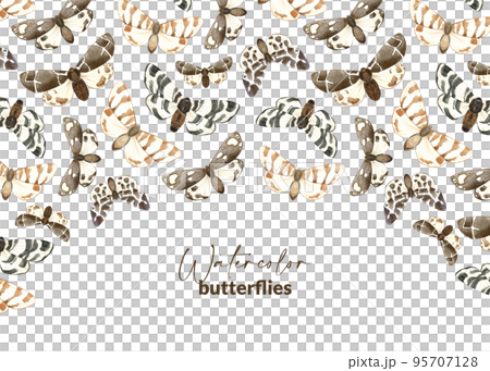 Template with illustrated brown butterflies. Hand drawn watercolor moth. Design for packaging, label, stationery and card. Flying insects. 95707128
