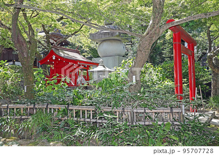 高幡不動尊　金剛寺（日野） 95707728
