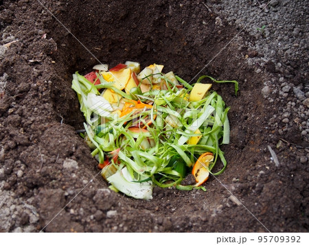 野菜くずで堆肥作り 95709392