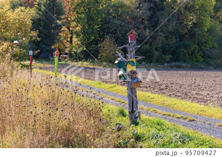 枯木の幹に取り付けられた野鳥のためのカラフルな巣箱 枯木の幹に取り付けられた野鳥のためのカラフルな巣箱 95709427