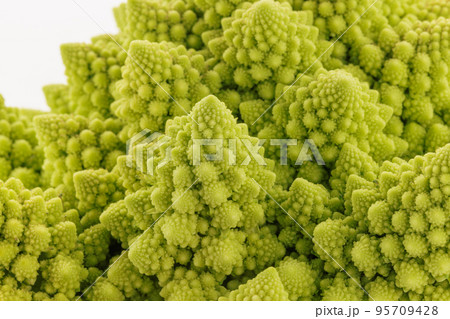冬の食材ロマネスコの渦を巻いた円錐 95709428