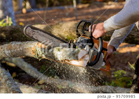 In autumn park worker is cutting down trees that fell after strong hurricane 95709985