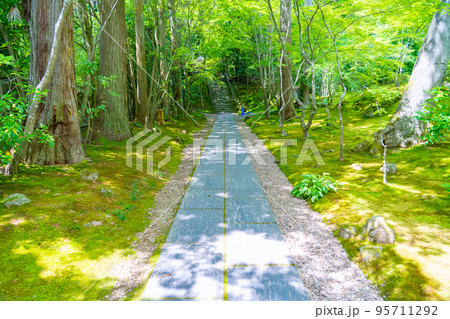 円通院 三慧殿禅林 瞑想の庭(宮城県松島町) 円通院 三慧殿禅林 瞑想の庭(宮城県松島町) 95711292