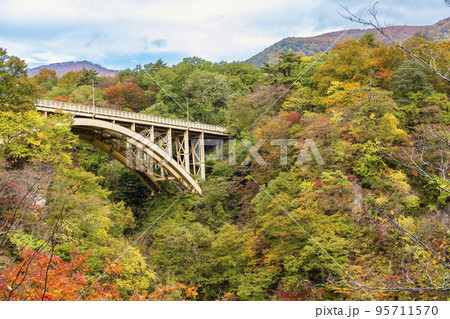 紅葉の風景　鳴子峡の回顧橋 (みかえりばし)　宮城県大崎市 95711570