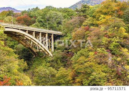 紅葉の風景　鳴子峡の回顧橋 (みかえりばし)　宮城県大崎市 95711571