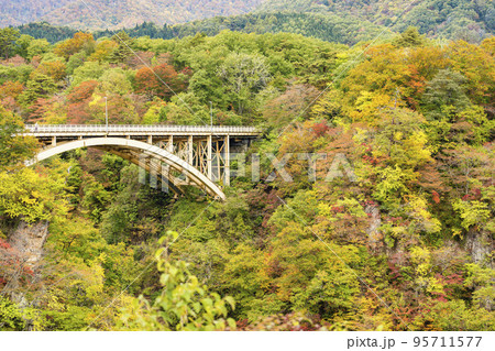 紅葉の風景　鳴子峡の回顧橋 (みかえりばし)　宮城県大崎市 95711577