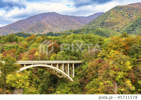 紅葉の風景 鳴子峡の回顧橋 (みかえりばし) 宮城県大崎市 紅葉の風景 鳴子峡の回顧橋 (みかえりばし) 宮城県大崎市 95711578