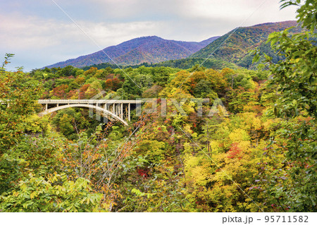 紅葉の風景　鳴子峡の回顧橋 (みかえりばし)　宮城県大崎市 95711582