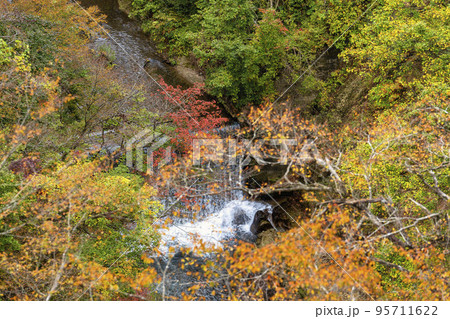 紅葉の風景 秋の鳴子峡 宮城県大崎市 紅葉の風景 秋の鳴子峡 宮城県大崎市 95711622