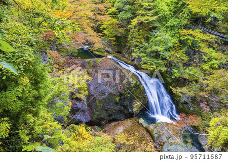 紅葉の風景 秋の関山大滝 山形県東根市 紅葉の風景 秋の関山大滝 山形県東根市 95711687